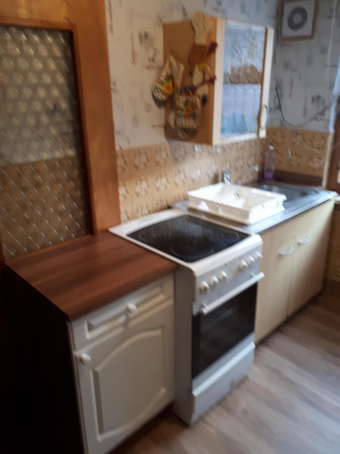 Ferienwohnung Kupfer Schmiedefeld am Rennsteig Exterior photo